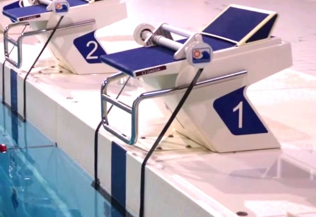 Device per il dorso..