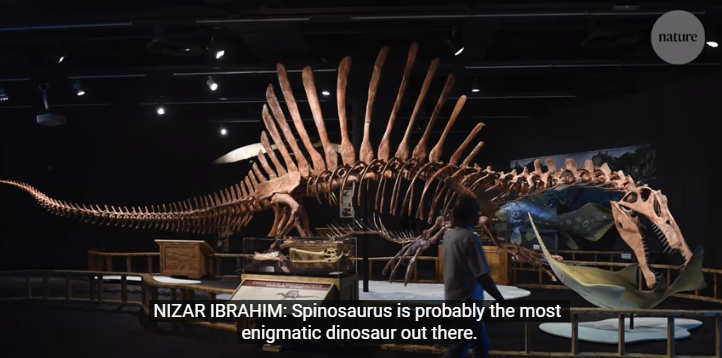 Spinosauro - Nature